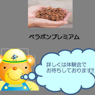 可愛い多肉植物のギャザリング教室の画像