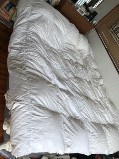フェザー布団付き！値下げしました?新品未開封! 3点セット Duvet Cover (ブランケットカバー)・2 Standard Sh