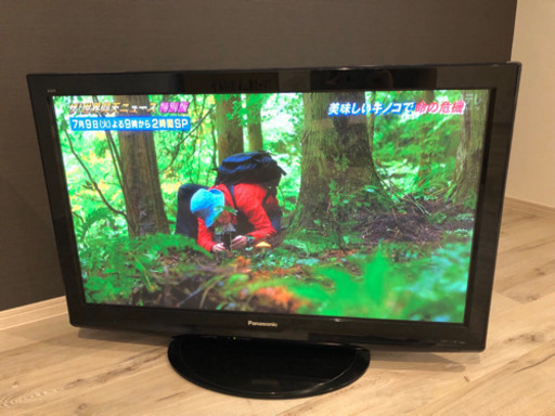 【最終値下げ】パナソニック プラズマ42型