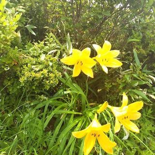 山が好きな人募集 - 能美市
