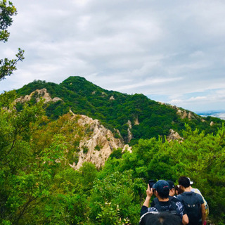 一緒にハイキングしませんか？⛰✨