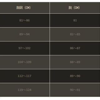 新品【HOLLISTER】 ホリスター　タイガーグラフィックＴ　サイズ：Ｌ (日本ＸＬサイズ相当)の画像