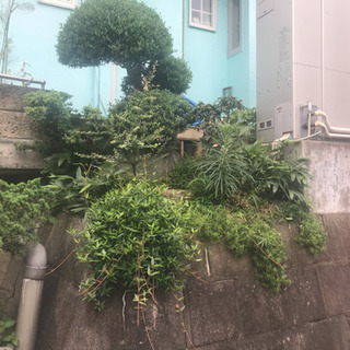 オシャレな坪庭を作りませんか(^-^)
