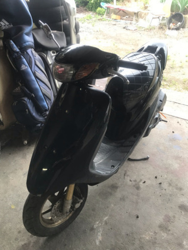 ライブディオZX