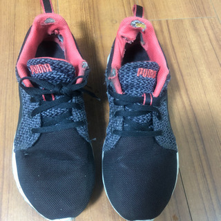 PUMA スニーカー 24.5cm