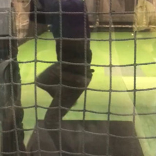 バッセン行く人募集⚾️