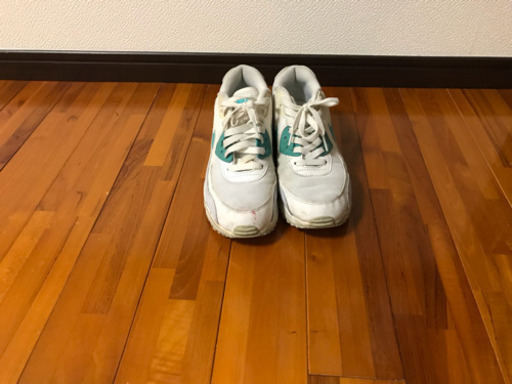 ナイキ エアマックス