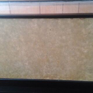 姫だるまの画像