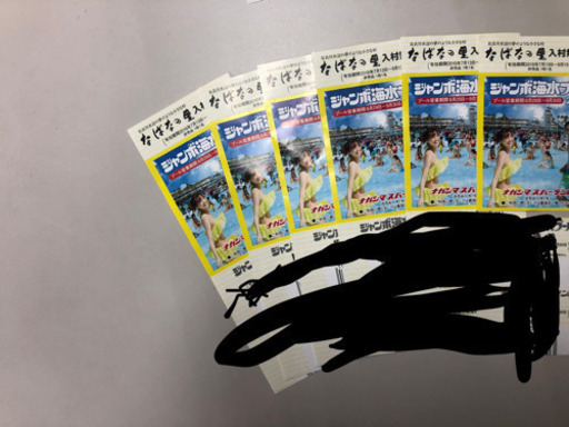 ナガシマスパーランド チケット6枚