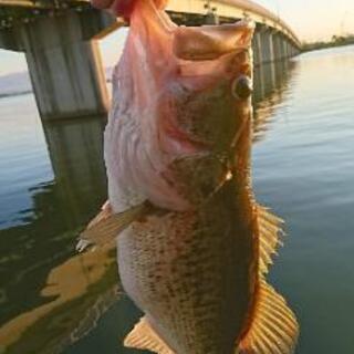 バス釣りメンバー募集