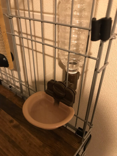 猫ケージとその他グッズ