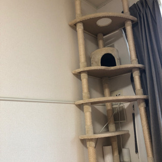 猫グッズの画像