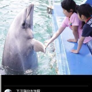 下田海中水族館チケットペアの画像