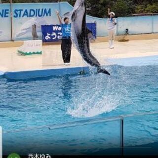 下田海中水族館チケットペアの画像