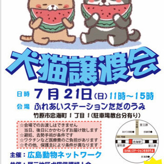 犬猫譲渡会 in ただのうみ