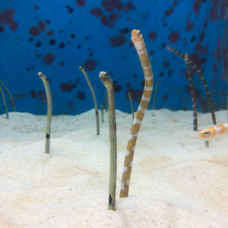 【愚痴・相談】聞きます 無料