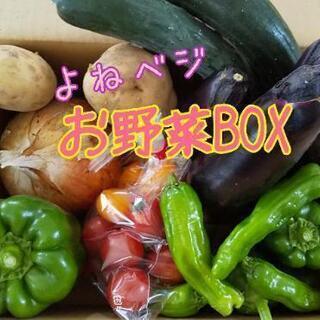無農薬お野菜【よねベジ】