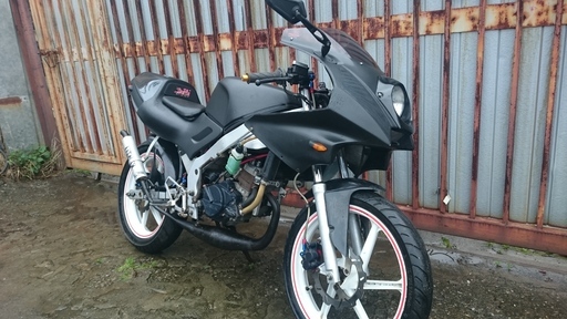 ホンダ　NS-1　N1 カスタム