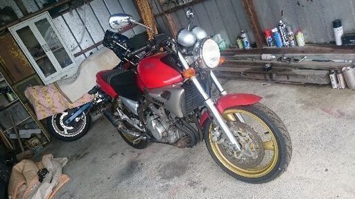 YAMAHA ZEAL 250　ジール