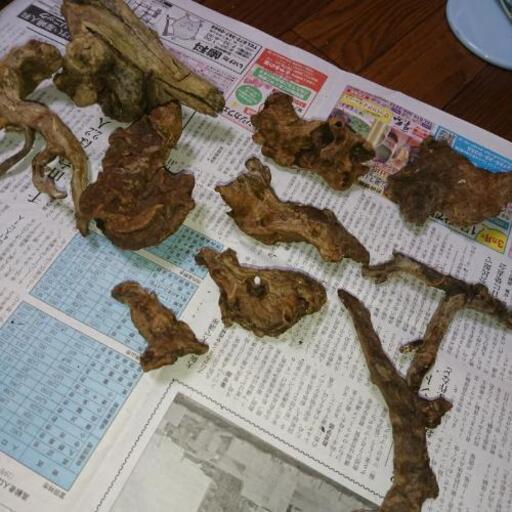 流木10個
