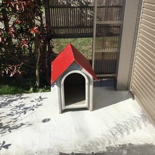 犬小屋  ペットハウス