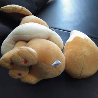 ポケモンイーブイ未使用品✨の画像
