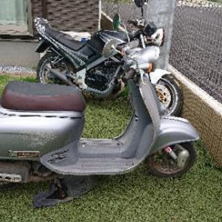 ホンダ ジョルノ50 不動車