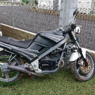 ホンダ VTZ250 MC15型 旧車 不動