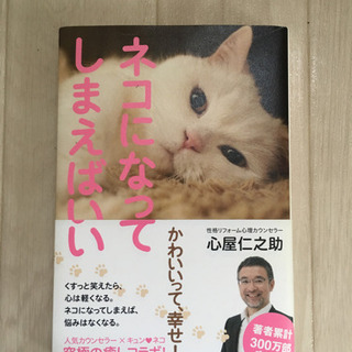ネコになってしまえばいい