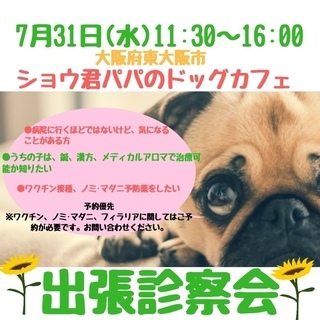 ７／３１（水）東大阪市ショウ君パパのドッグカフェさんにて出張診察会