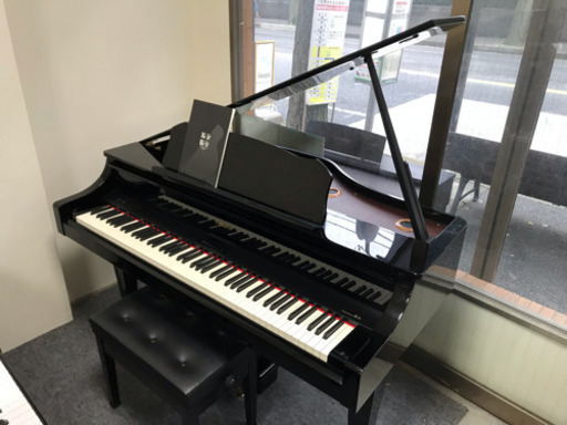 ローランド RG3F