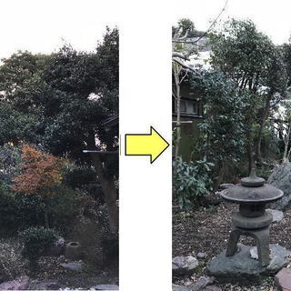 庭木１本から気軽に頼める植木師　お庭の剪定、伐採、草刈り、草むしり、解決　※見積もり無料!!　※身分証＆電話認証済み - 横浜市