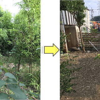 庭木１本から気軽に頼める植木師　お庭の剪定、伐採、草刈り、草むしり、解決　※見積もり無料!!　※身分証＆電話認証済み - 地元のお店