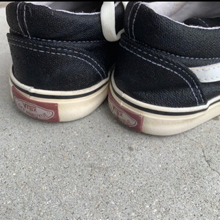 vansスニーカーの画像