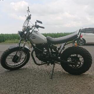 ヤマハ  TW200  スカチューン