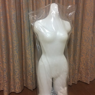 電飾　トルソー　ラインが綺麗な光る　マネキン！レディス　トルソー 照明付き 商品ディスプレイ 店舗の画像
