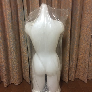 電飾　トルソー　ラインが綺麗な光る　マネキン！レディス　トルソー 照明付き 商品ディスプレイ 店舗の画像