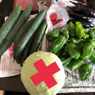 【早い者勝ち】野菜詰め合わせ