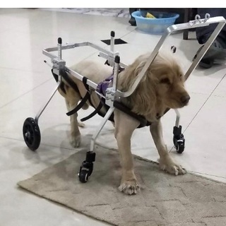 犬用歩行器 新品 未開封