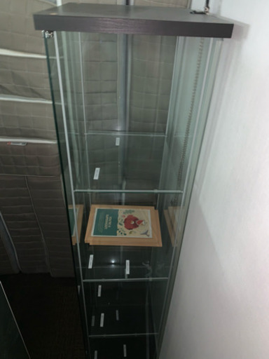 ガラス張りのショーケース！フィギュア置いたら、バエます^ - ^