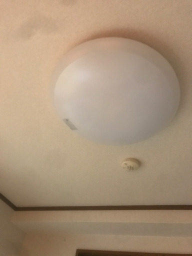 電気 3点