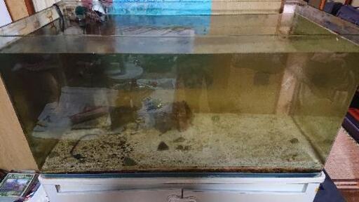 【海水使用品】オーバーフロー水槽 ヨコ90㎝/タテ45㎝