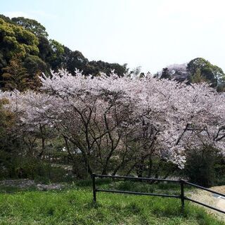 軽運送ドライバー募集