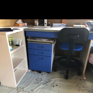 千葉ロッテマリーンズ 実使用支給品