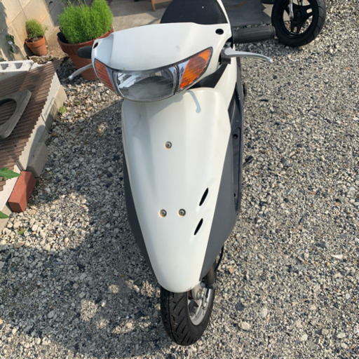 ホンダ ライブDio AF34 2スト ホワイト 50㏄