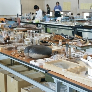 【夏休みの自由研究に】「さわれる移動博物館&科学トークショー」最...