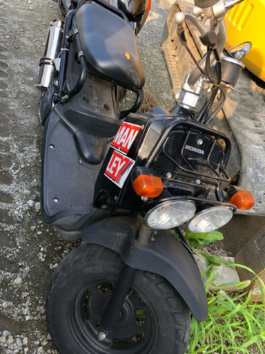 ズーマー 50 不動