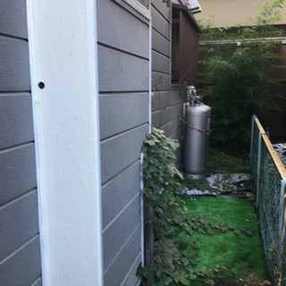 草むしり 枝切り