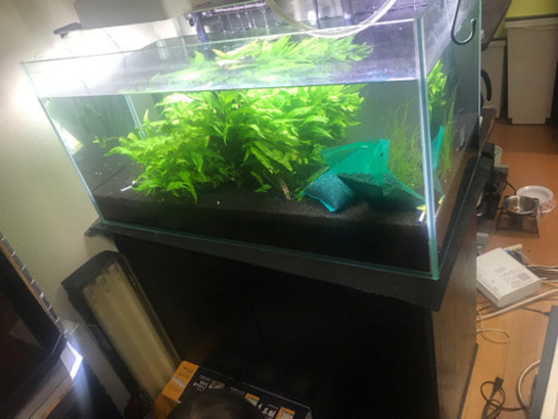 水槽、水槽台等セット