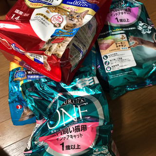 猫の餌